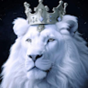 Meet your Posher, Tnina